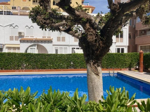 Casa Torrevieja La Mata别墅 外观 照片